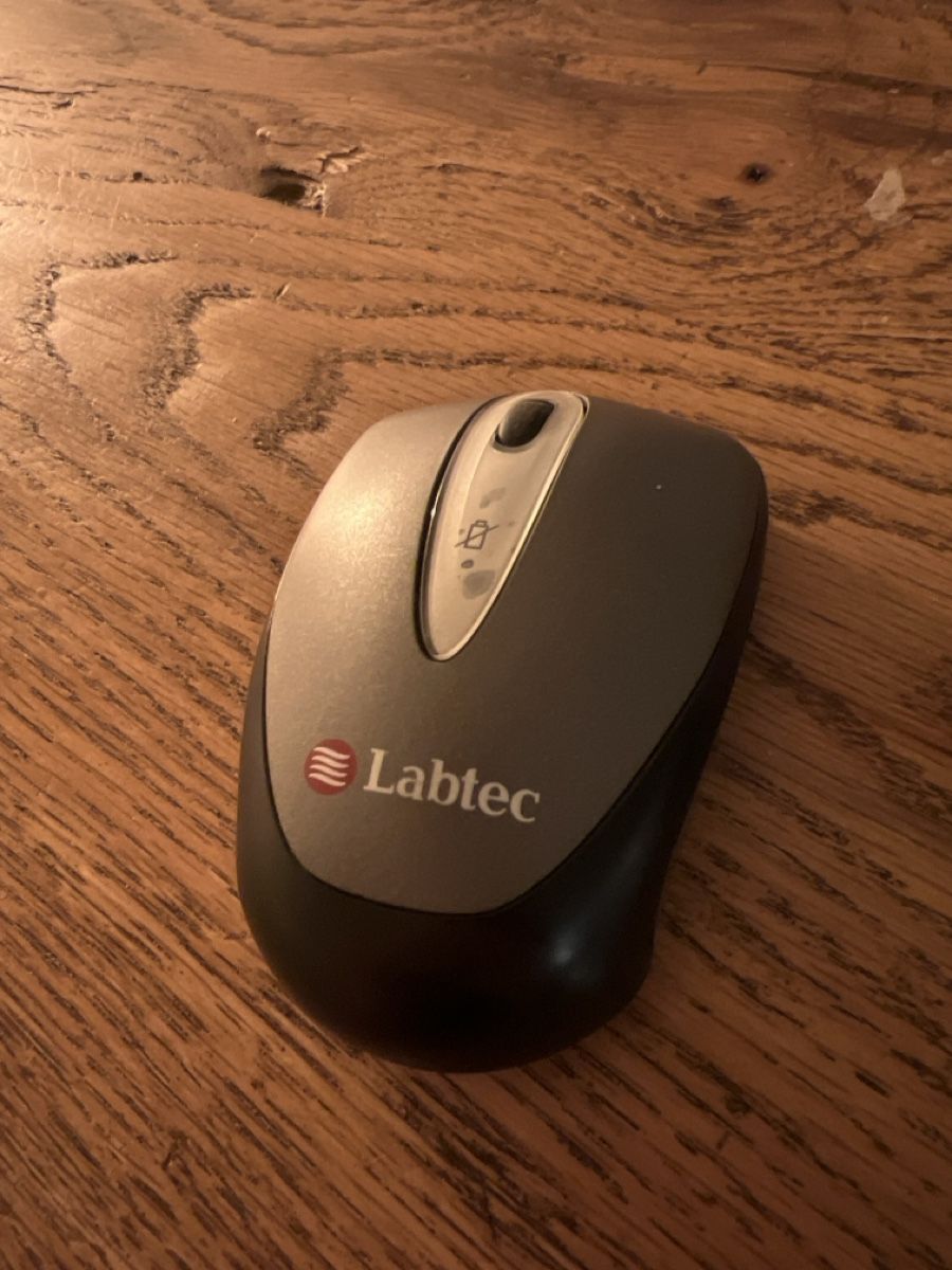 Mouse: Labtec Funkmaus, PC Maus, Computer Maus, Top Zustand – Usato da Nürensdorf venduto da romano_a