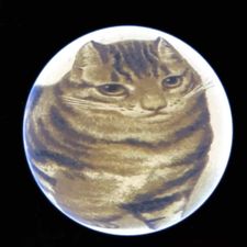 Profile image of jonhangartner