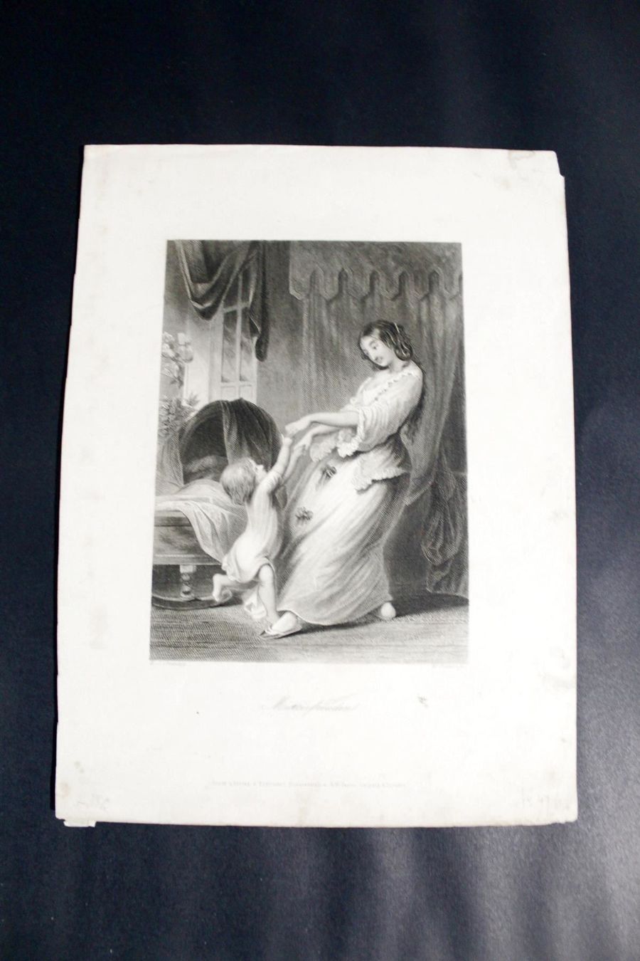 Incisioni: HAROLD JOHN STANLAY (England, 1817-1867) – Usato da Bern venduto da Vintageprints 4