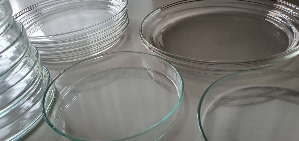 40 x Petrischalen 90 mm aus Kunststoff (PS) mit drei Belüftungsnocken, nicht Steril, 9,09