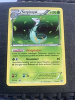 PokempnSerpiroyal  6/114 Schwarz-Weiss Holo selten  DE 2011