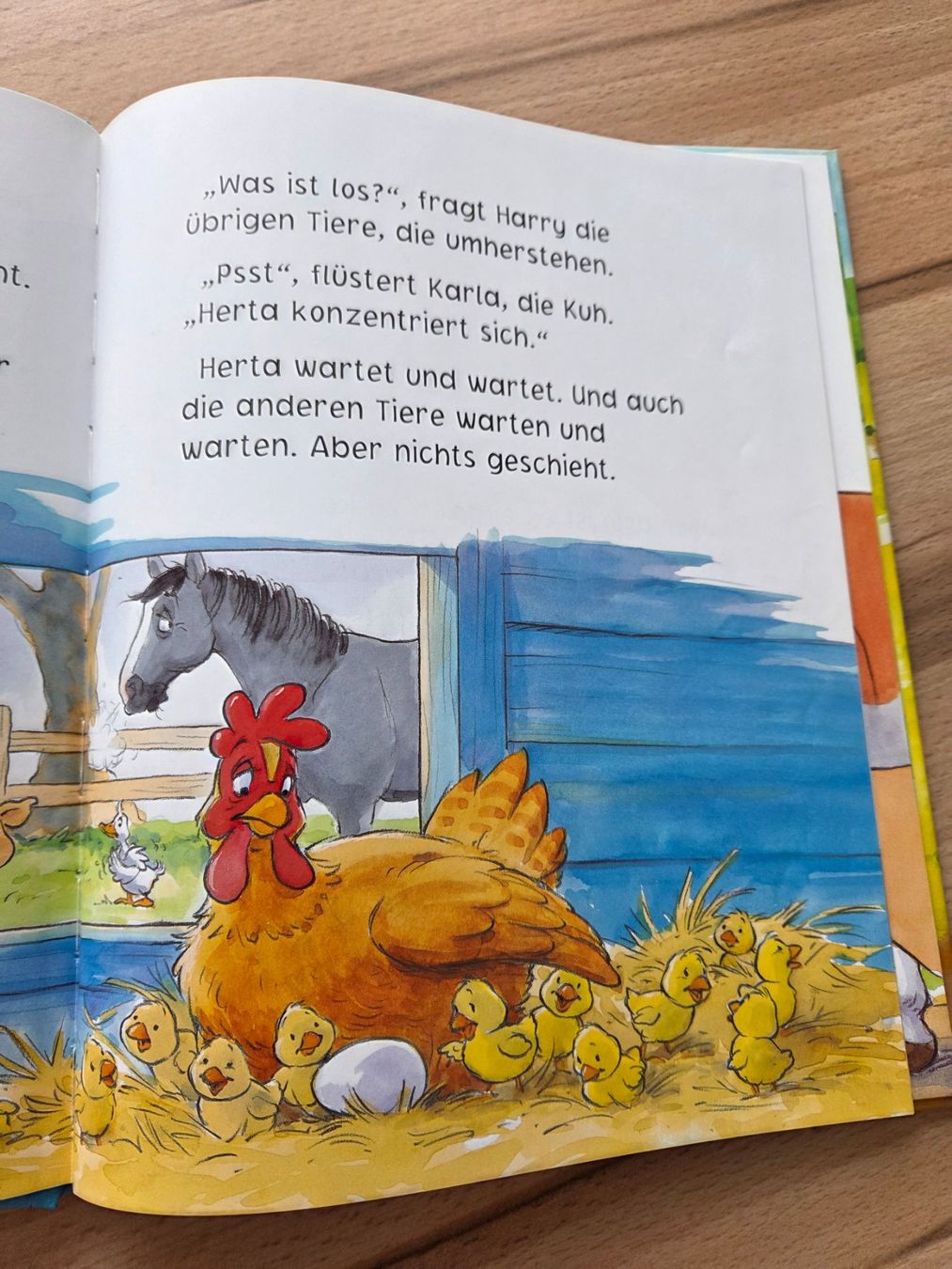 Livres: Das dreizehnte Ei – D'occasion à Grosswangen par sunny.stivi 8