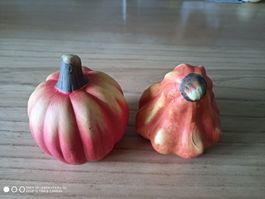 Kürbis