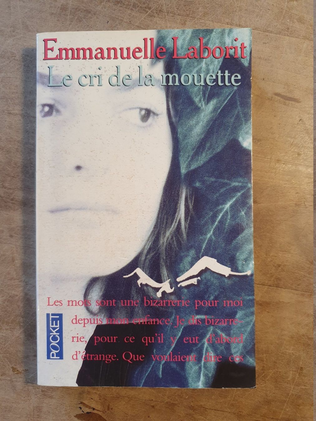 Libri: Le cri de la mouette Emmanuelle Laborit Pocket – Usato da Zürich venduto da loosebone