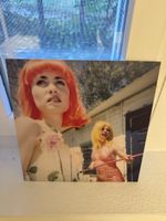 Stefanie Schneider White Trash Beautiful II 14/15