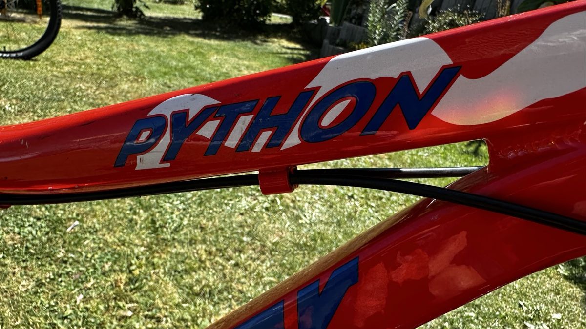 Vélos: Kinderfahrrad Python Racer 20 Zoll Rot gebraucht – D'occasion à Walzenhausen par Thomas0891 7