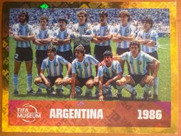 Panini FWC14