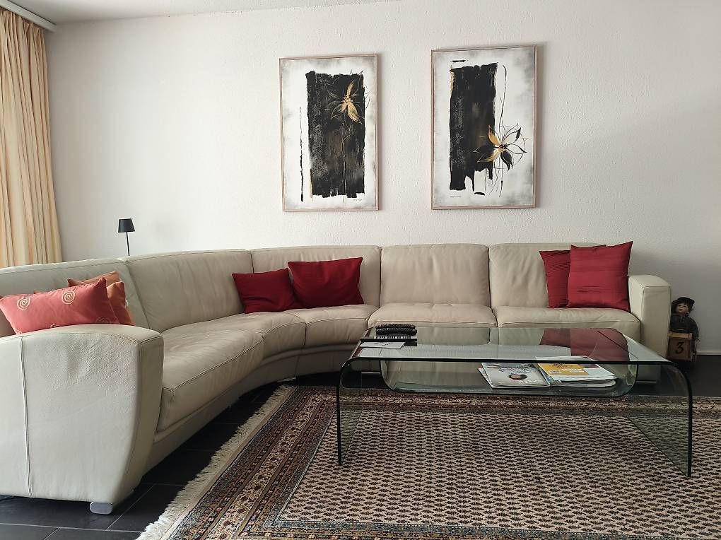 Sofas: De Sede Ledersofa mit Designertisch – Gebraucht aus Wynau von Daniela642