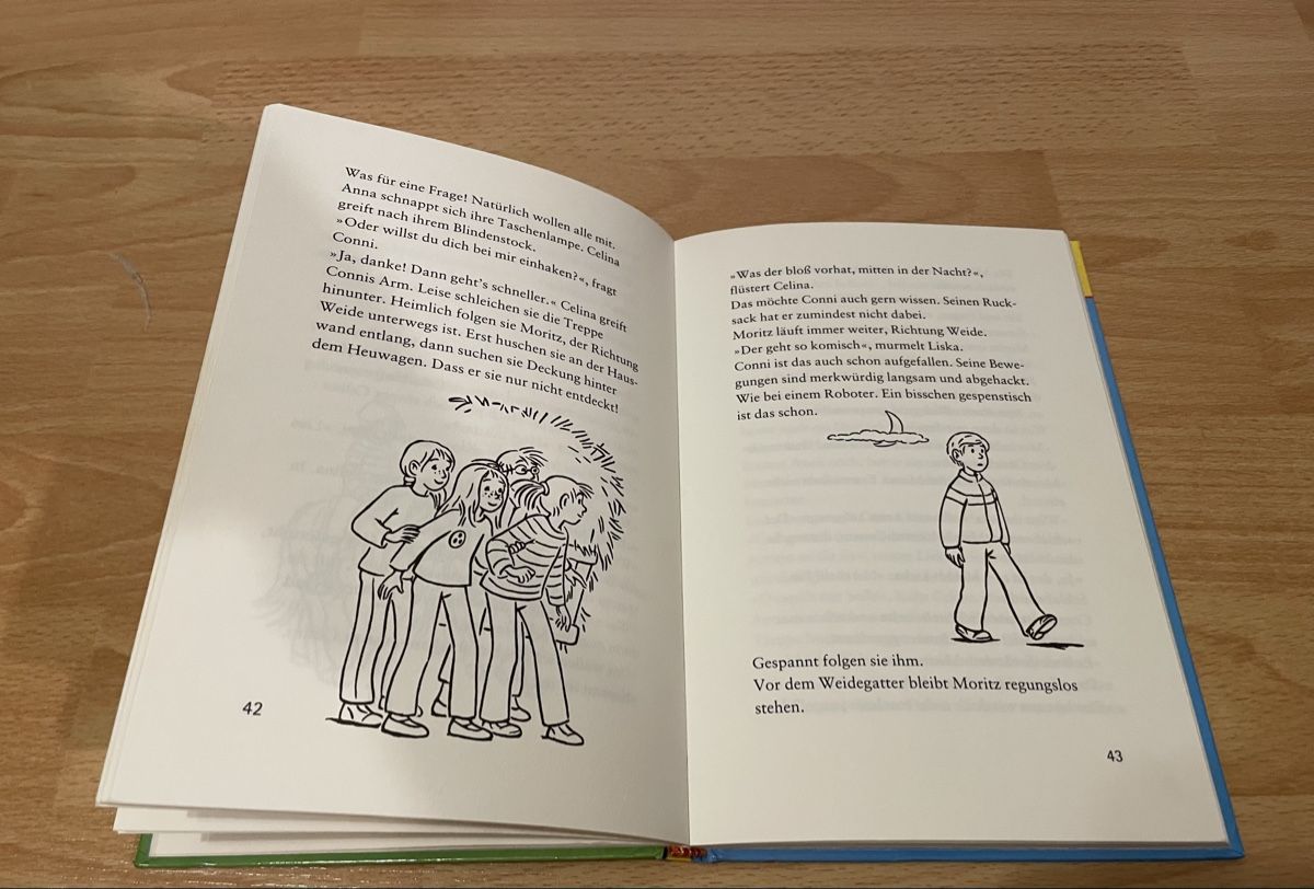 Libri: 2 Conni Bücher – Usato da Chur venduto da Tsambiko 6