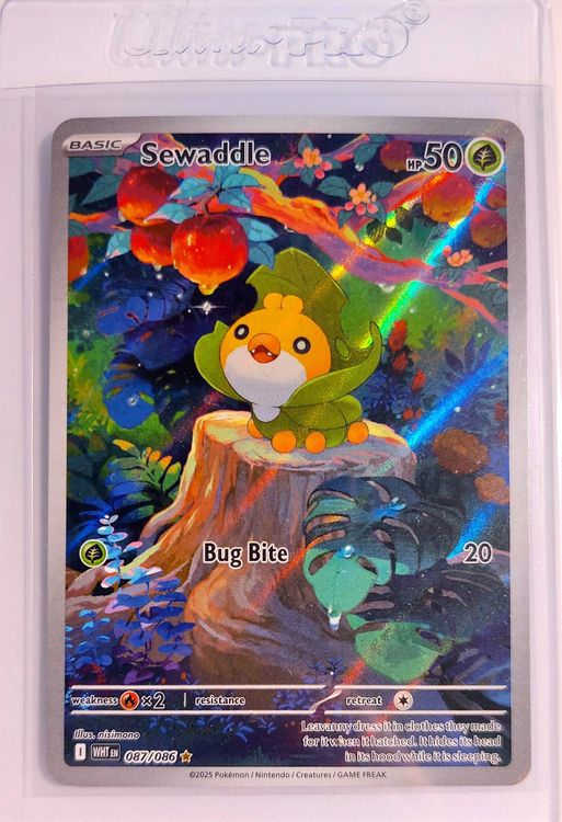 2025 POKEMON EN WHITE FLARE ILLUSTRATION RARE #087 SEWADDLE! (Gebraucht ...