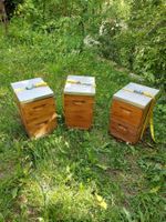 Mini-Swiss Magazin CH-Mass für Bienen 3 Stück