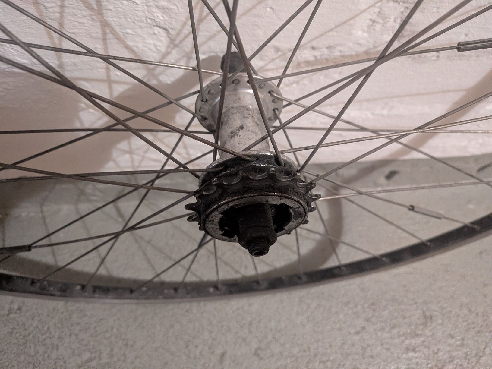 Pneumatici & Ruote complete: Singlespeed Laufräder – Difettoso da zürich venduto da donfebbraio 3