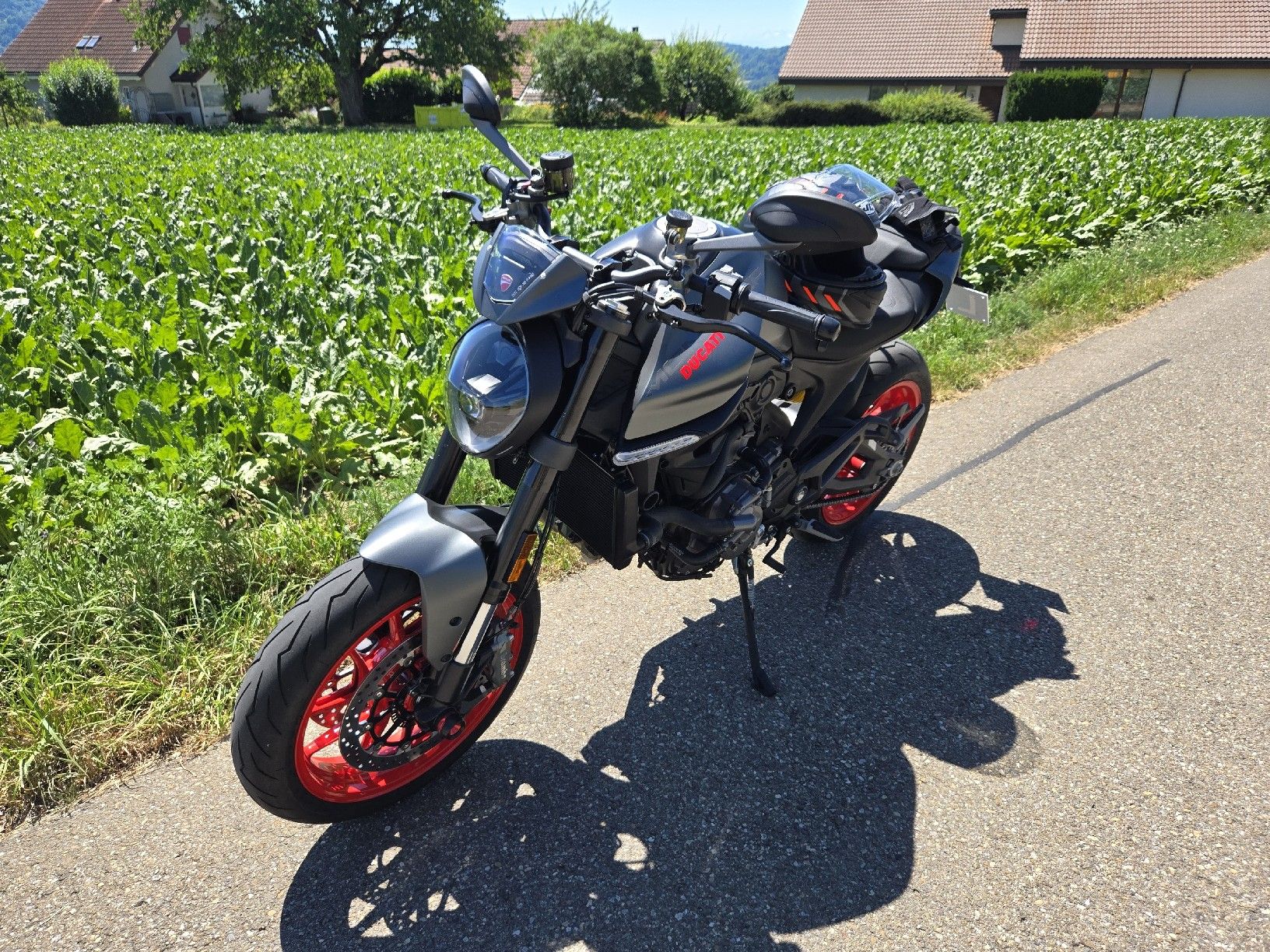 Ducati Route: Ducati Monster + 937 (35kw) – D'occasion à Opfikon par Cat72