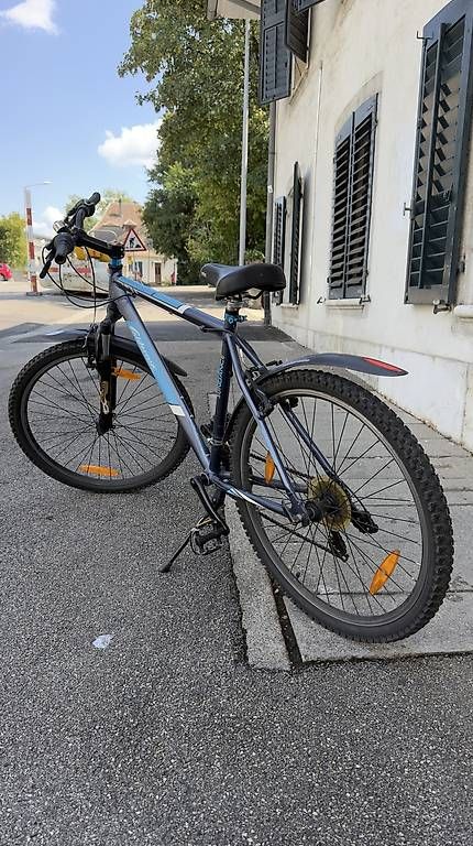Velos: Mountainbike – Gebraucht aus Solothurn von Dobo 1