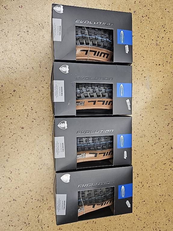 Pezzi di ricambio: Schwalbe wicked will 29x2.4" – Usato da Einsiedeln venduto da RomanB.