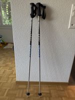 Skistöcke