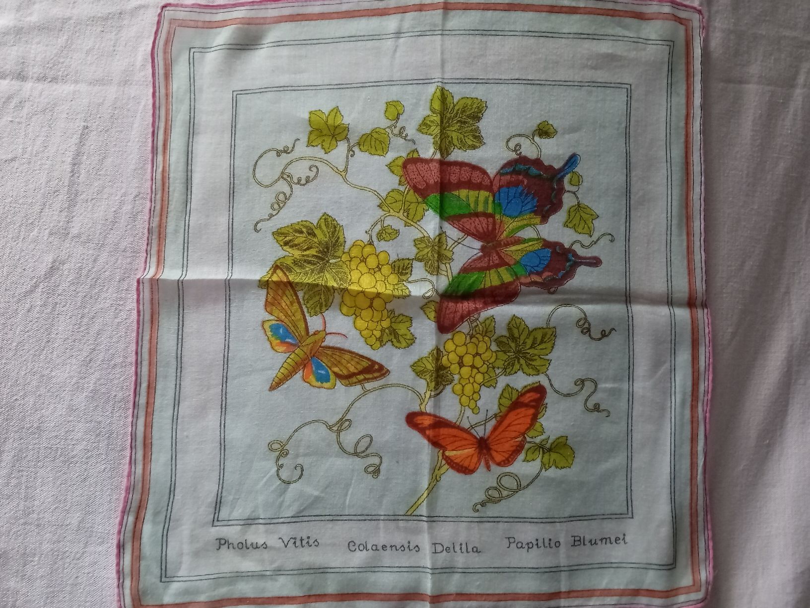 Sonstige Kleidung & Accessoires: 2 Taschentücher – Gebraucht aus Witterswil von hele04 1
