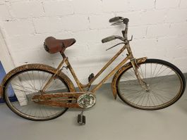 Altes Fahrrad 
