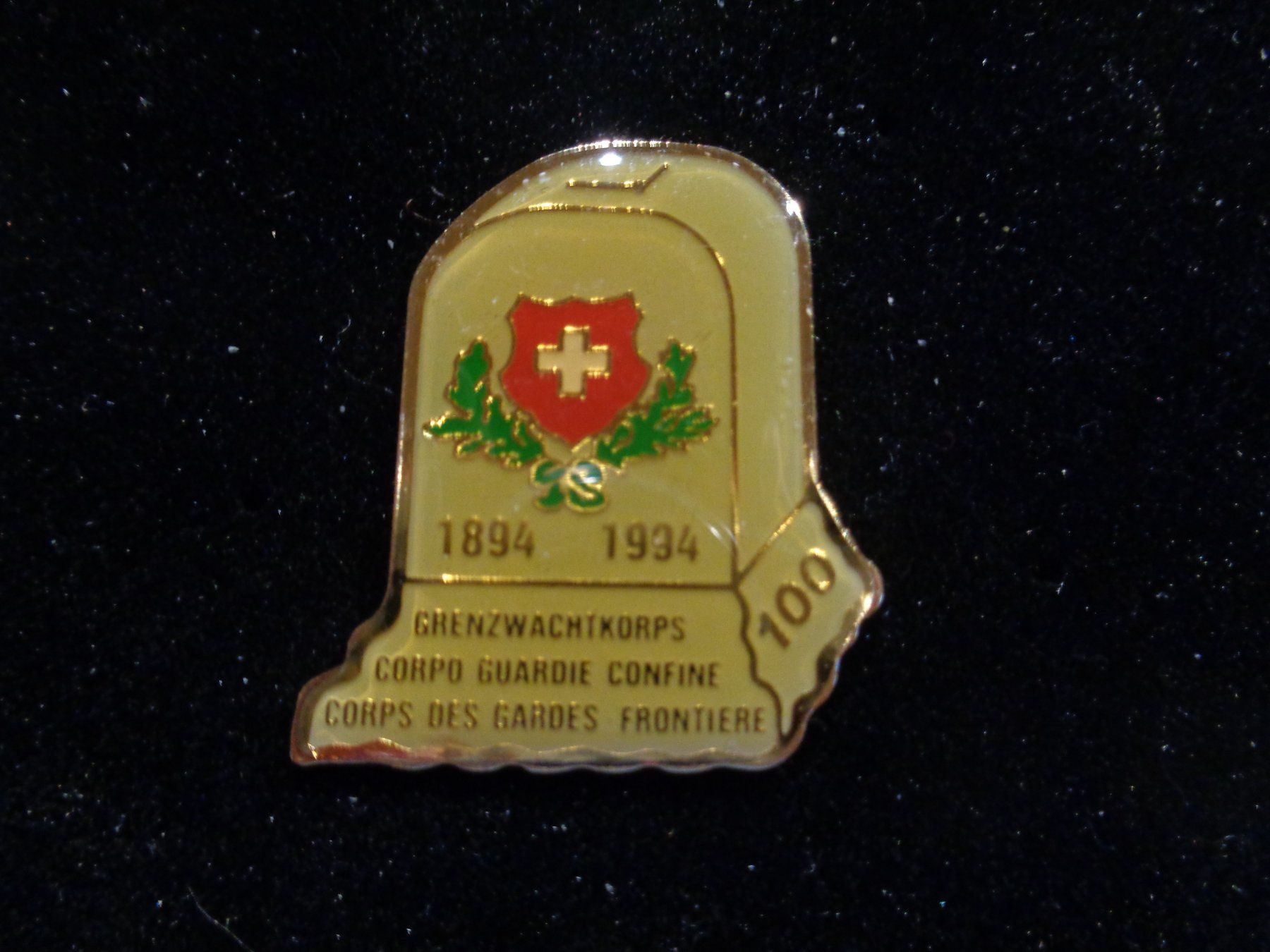 Placchette & Badge: Pin 100 Jahre Grenzwachkorps – Usato da Birsfelden venduto da Albatros55