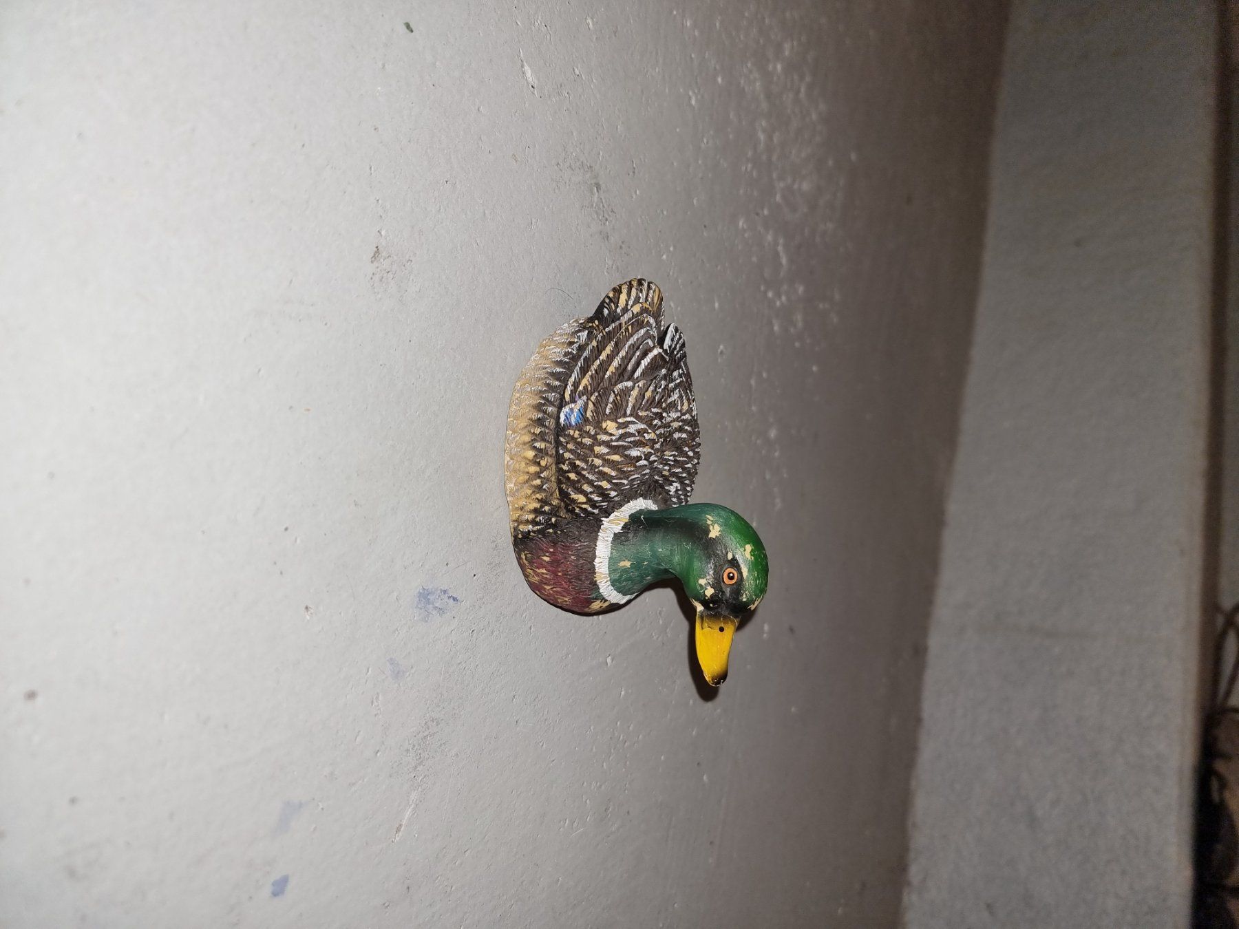 Tutte le decorazioni: Künstliche Ente – Usato da Hausen AG venduto da 1stok