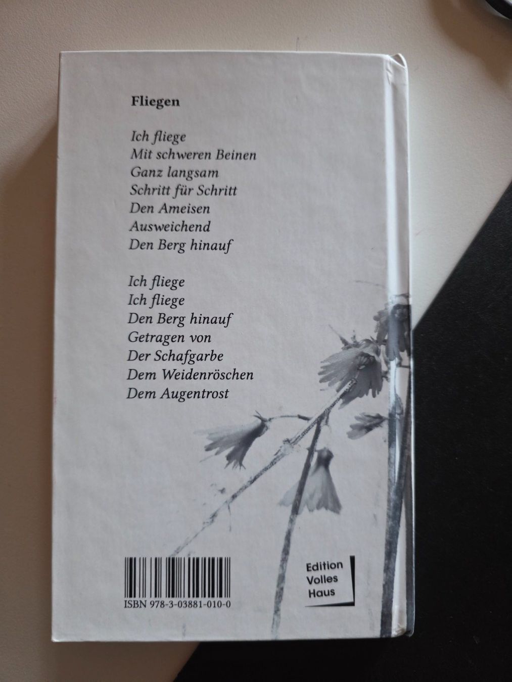 Libri: Thomas Gröbly - Inmitten - Gedichte 2008-2018 – Usato da Walterswil BE venduto da Lonitti 5