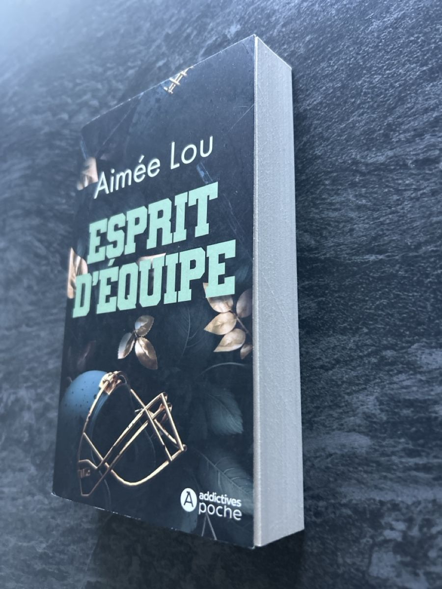 Libri: Esprit d'équipe - Aimée Lou  – Nuovo (secondo la descrizione) da Villeneuve VD venduto da ver_29jv 3