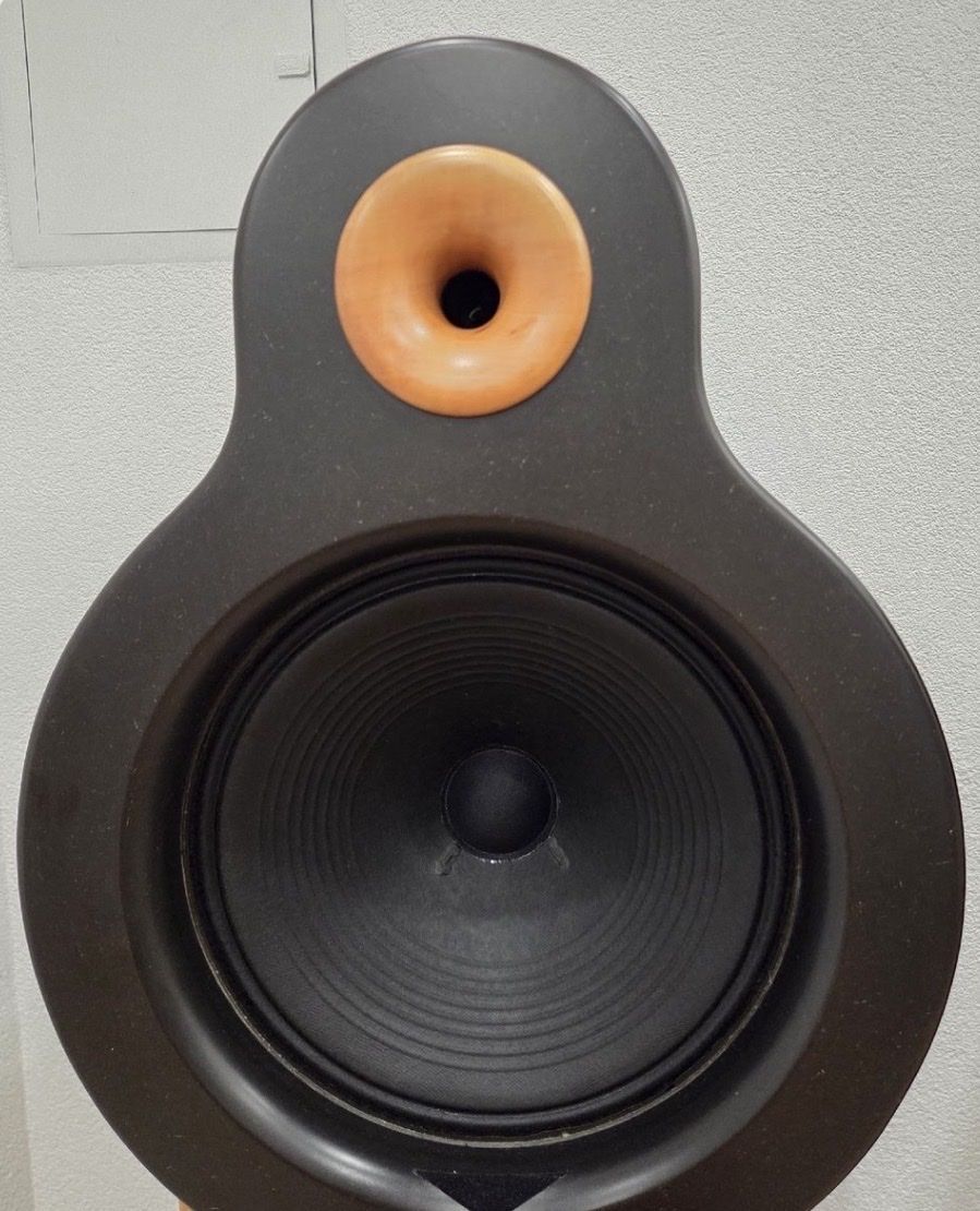 Casse acustiche: Bastanis APOLLO - Open Baffle Lautsprecher - TOP – Nuovo (secondo la descrizione) da Wald ZH venduto da RIVAAUDIOEMOTIONS 4