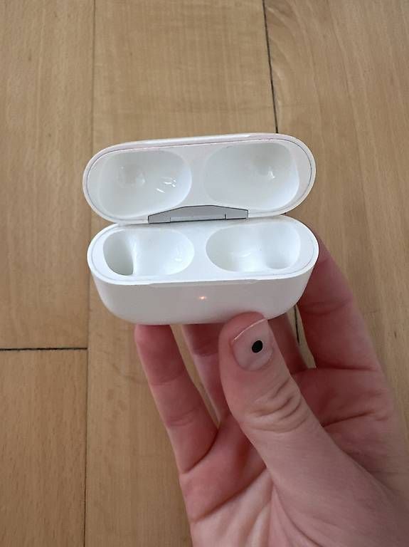 Caricabatterie: AirPods Pro 1st Gen Ladecase – Usato da Zürich venduto da Clara.Trixi 2