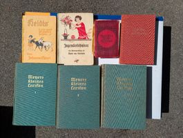 Bücher Konvolut verschiedene Autoren in alter Schrift