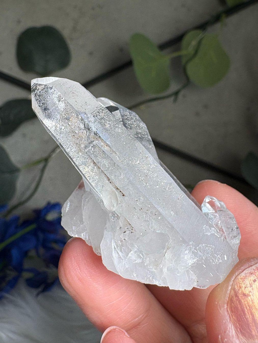 Mineralien & Heilsteine: Kolumbianischer Lemurian-Quarz-Cluster – Neu (gemäss Beschreibung) aus Neuheim von m.hald 4