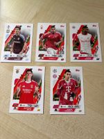 12 Parallel Festive Karten Match Attax 25/26 Topps