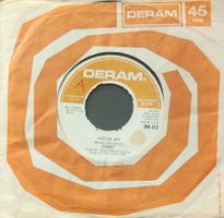 Vinyl-Single Ferret - Hudson Bay