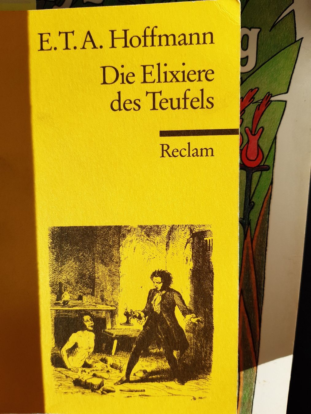 Libri: roman "die elixiere des teufels" – Usato da Nebikon venduto da Haidihooo