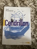 Buch Cendrillon Joël Pommerat Theaterstück französisch