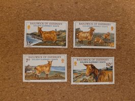 Marken Guernsey Ziegen