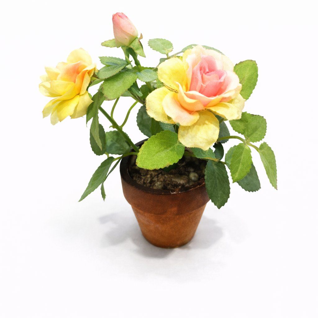 Piante & sementi: Künstliche Rosen Deko Topf – Nuovo (secondo la descrizione) da Fully venduto da VaneaSelection