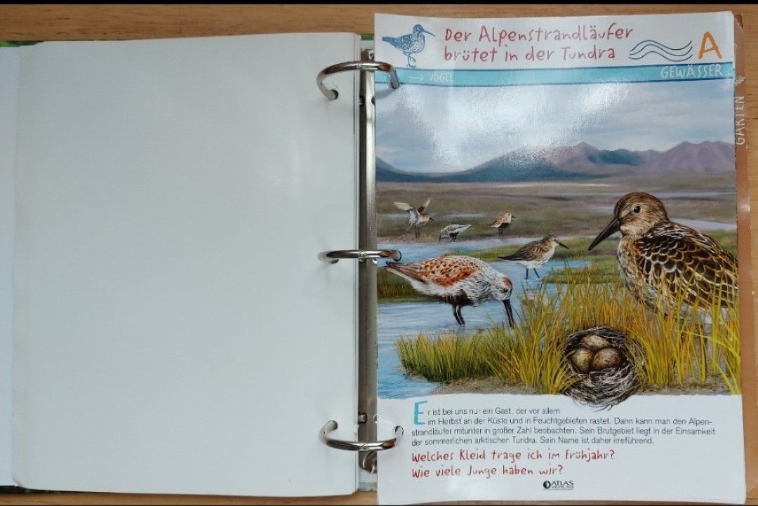 Libri: Kinder Ordner,  Tiere - Natur – Usato da Steinen venduto da bruvlatur86 1