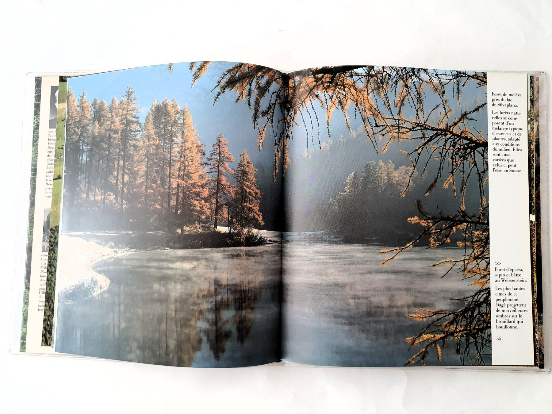 Libri: Nos forêts, E. Krebs, W. Imber, Editons Mondo, 1981 – Nuovo (secondo la descrizione) da Martigny venduto da Abm1000 2