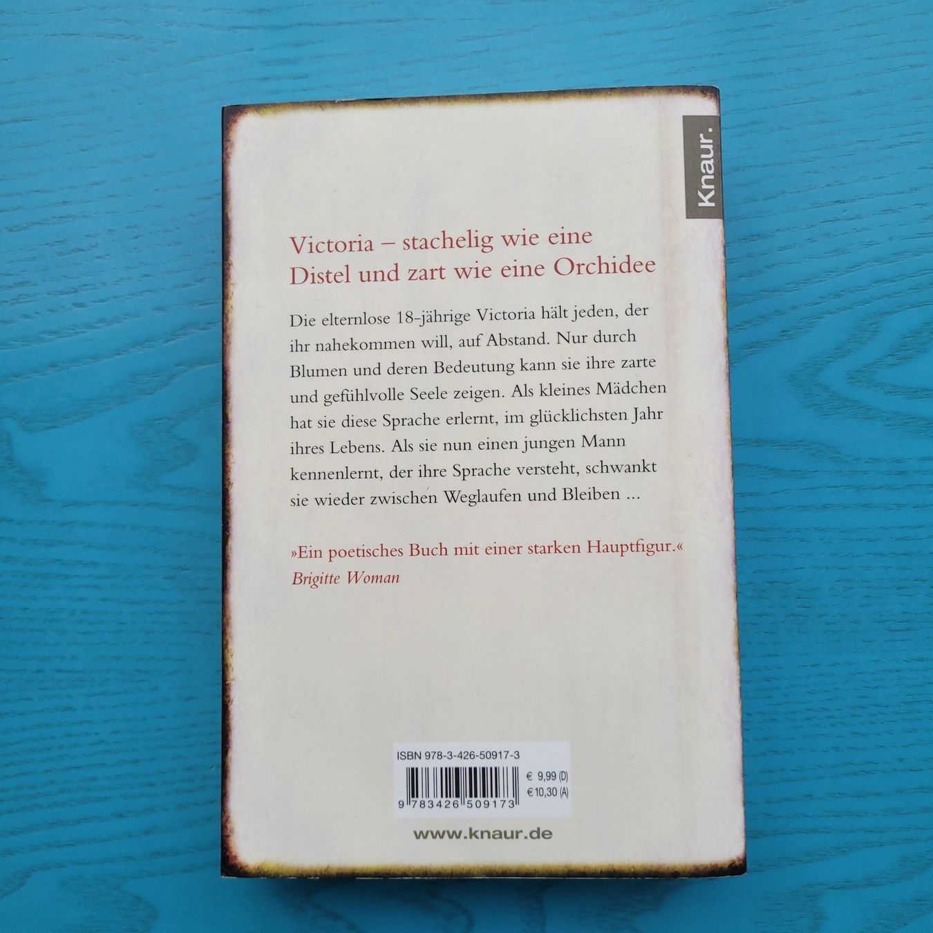 Libri: Die verborgene Sprache der Blumen-Vanessa Diffenbauch – Nuovo (secondo la descrizione) da SCHÜBELBACH venduto da CoKaHa 1