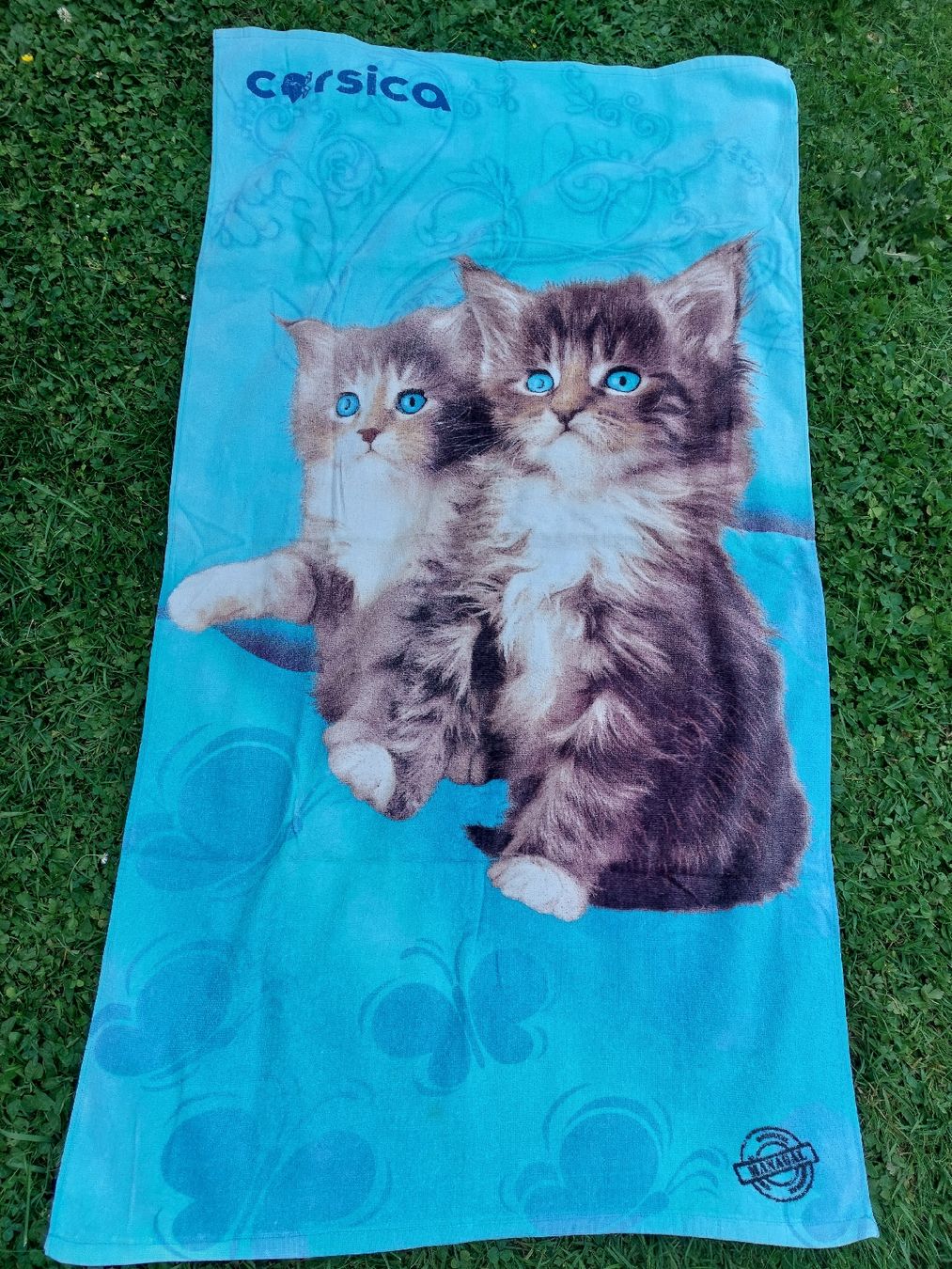 Teli da bagno: Serviette de plage  deux chatons bleus été – Usato da Mont-sur-Lausanne venduto da ane_pgq6 1