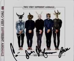 Red Shoes TWO VERY DIFFERENT ANIMALS Swiss Pop CD signiert