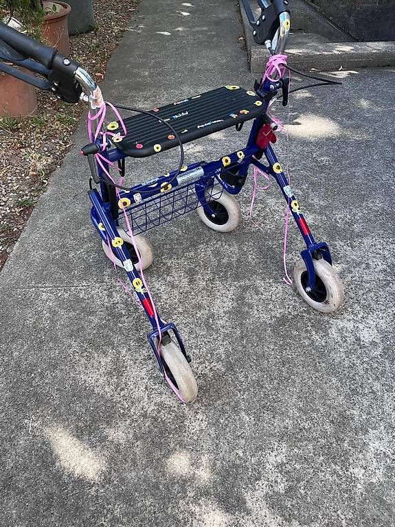 Gehhilfen: Rollator – Gebraucht aus Birsfelden von Fidollus 1