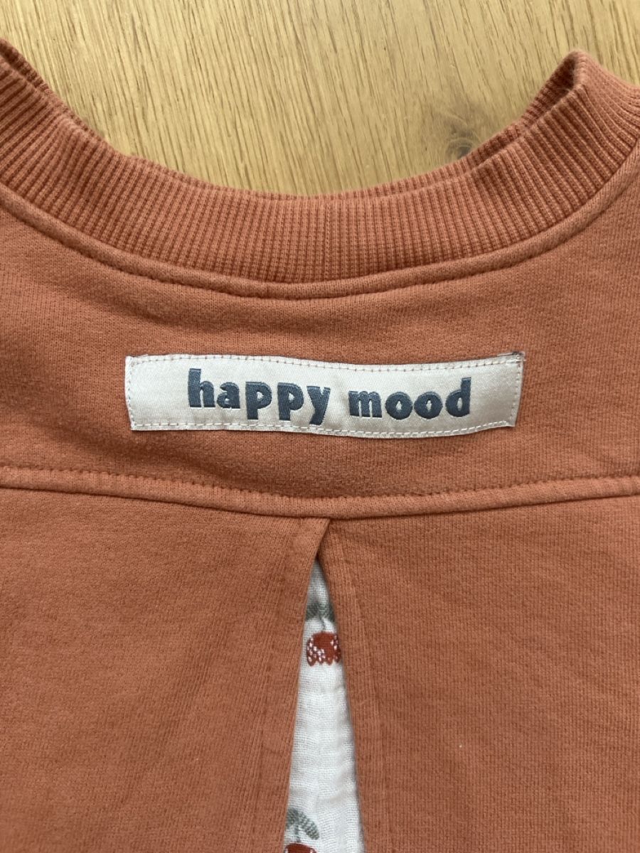 Next Pulls et sweat-shirts: NEXT Pullover mit Blumenprint Grösse 98/104 2-3 Jahre – D'occasion à Recherswil par ch0_y9gb 4
