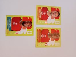 Panini 2026 Canada