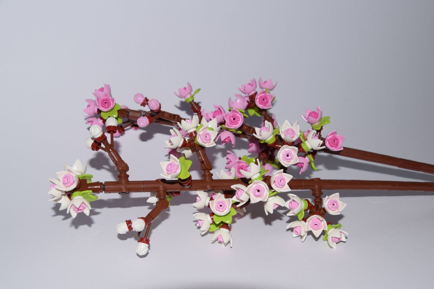 Lego Giocattoli: Lego Botanical Collection- Kirschblüten – Usato da Lausen venduto da Rotezora79 1