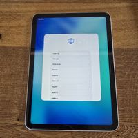 Apple Ipad 10. Gen 256GB 5G (Cellular)