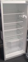 Kühlschrank leer mit Tablaren
