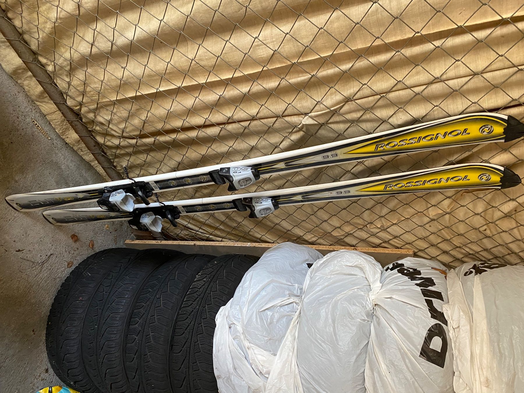 Skis: Ski – Gebraucht aus Bad Zurzach von Kejsi01 1