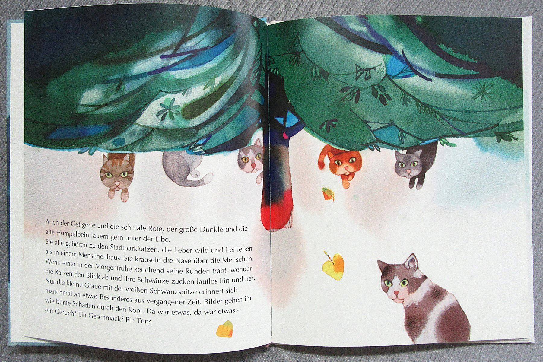 Libri: Die Weihnachts Katze - illustriert von Ivan Gantschev – Usato da Auenstein venduto da Padabimbim 3