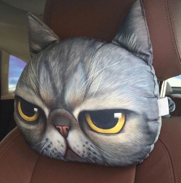 Kissenbezug Nacken-Kissen Katze / Cat für Auto, ohne Füllung
